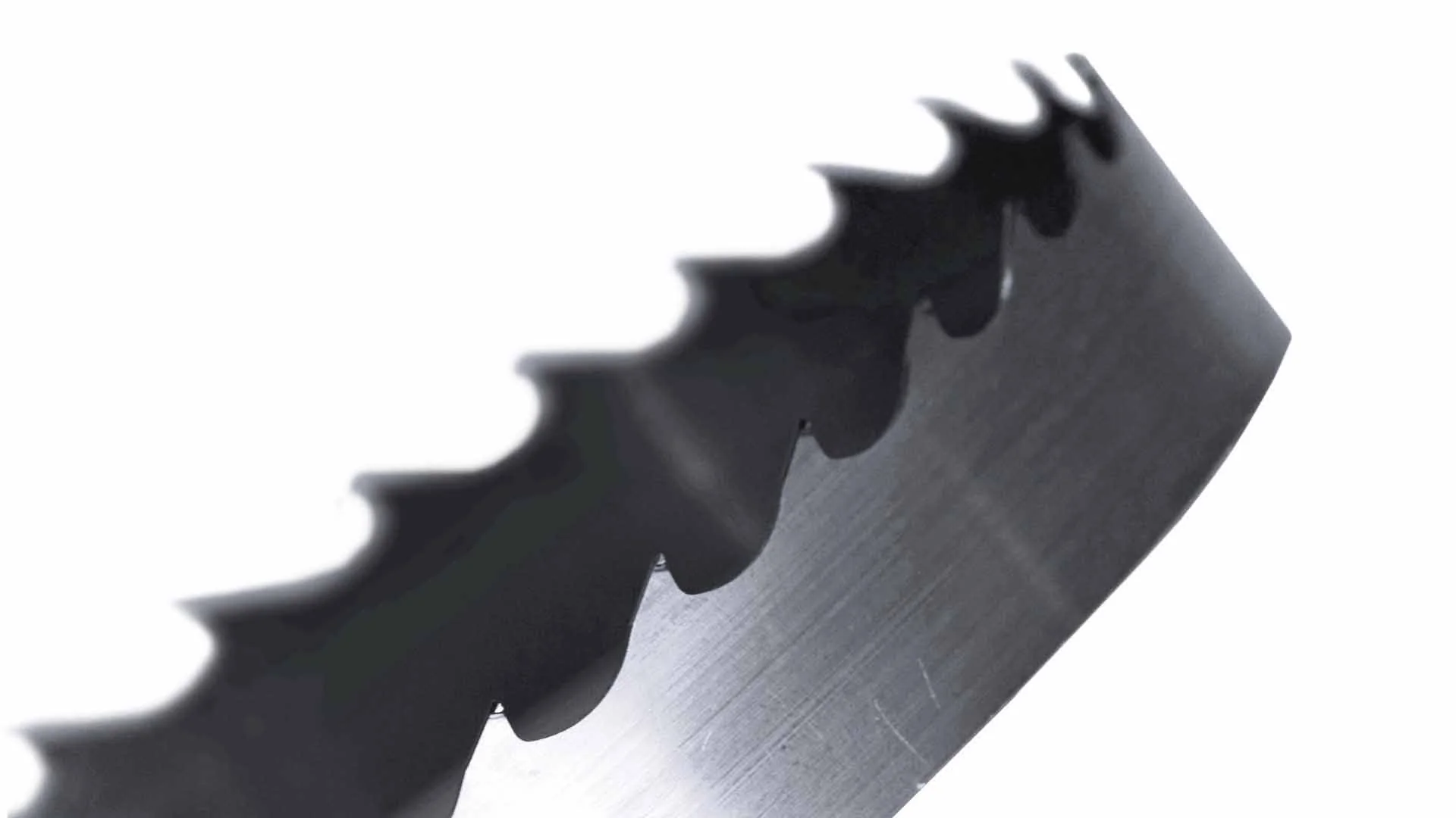 Apex Carbide Ultra-Premium Tipped Bandsaw Sawmill Blades - Image 3
