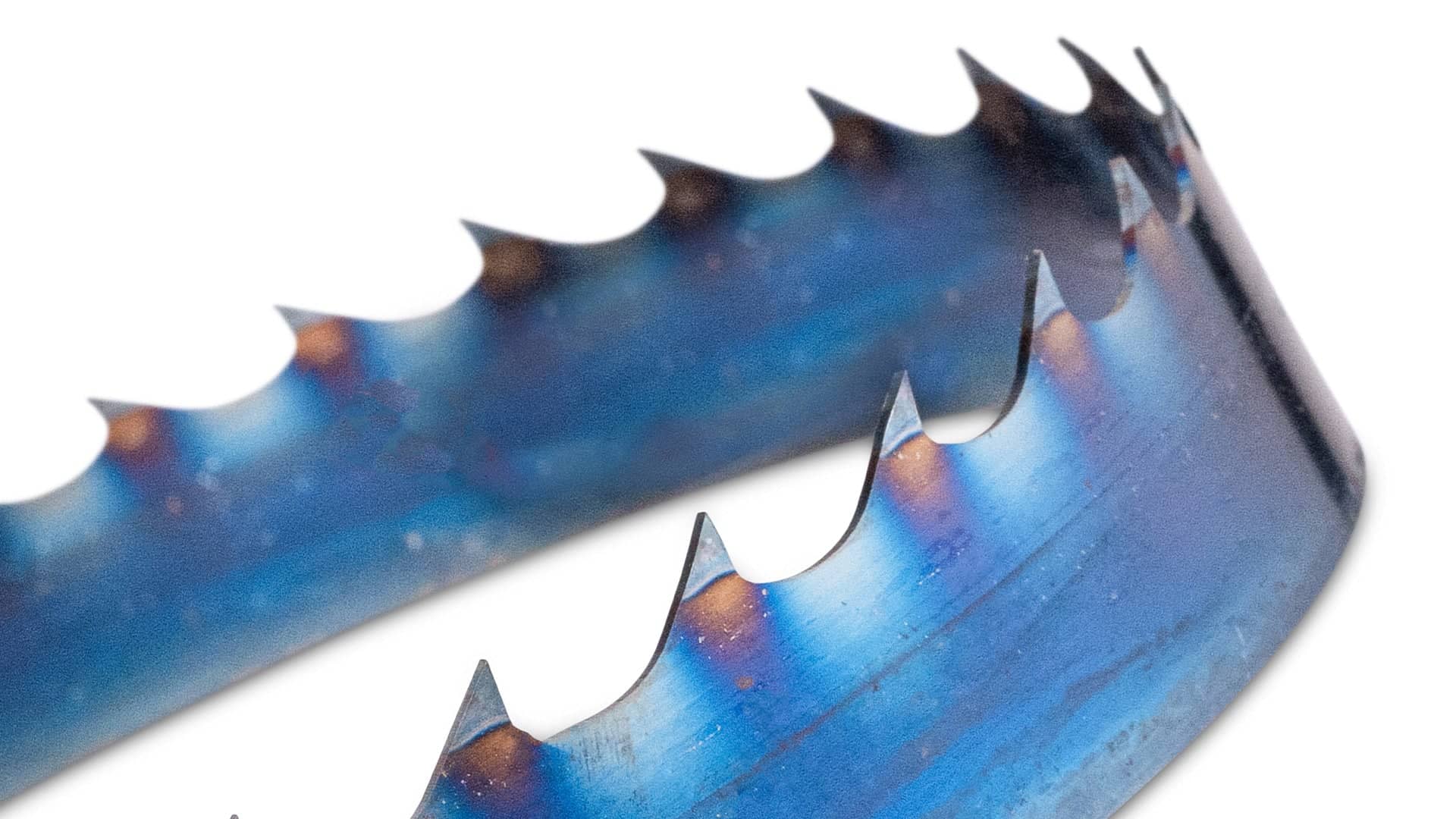 Blue Flex High Performance Bandsaw Sawmill Blades - Image 5