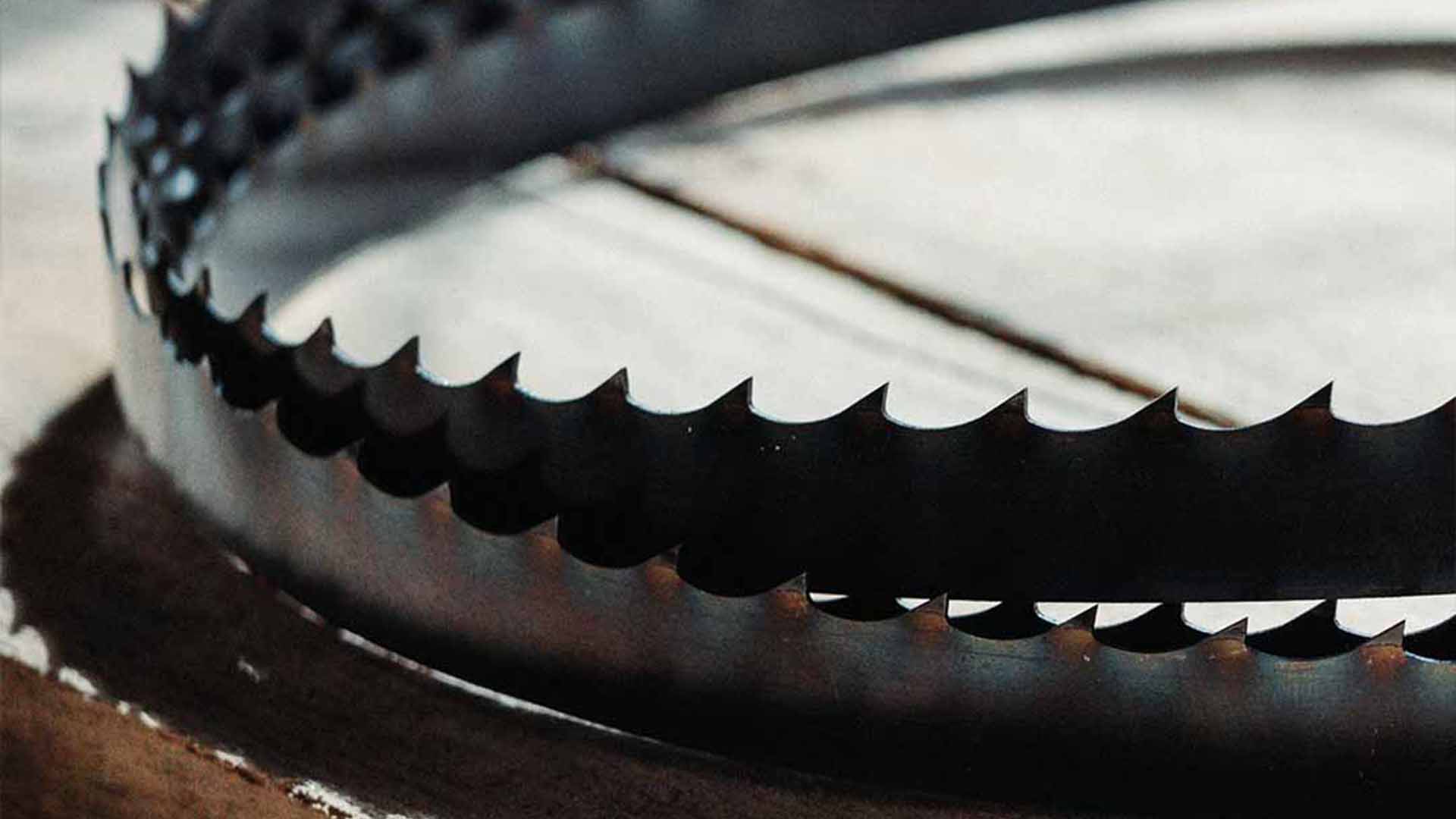 Blue Flex High Performance Bandsaw Sawmill Blades - Image 9